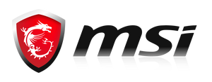 MSI